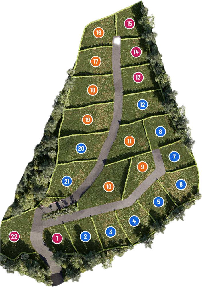 Plano del proyecto La Reserva